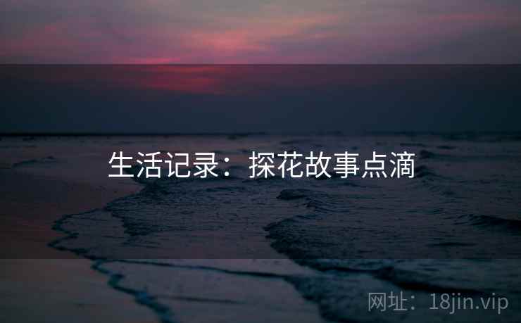 生活记录：探花故事点滴