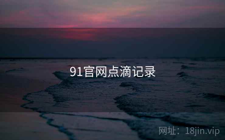 91官网点滴记录