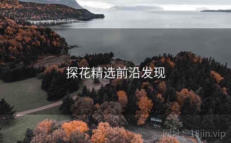 探花精选前沿发现